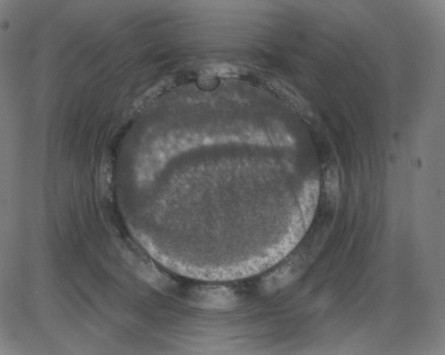 X0000084040322200703161838