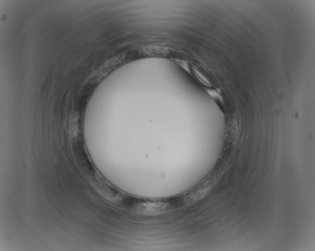 X0000084040323200703161838