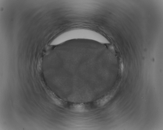 X0000084040325200703161838