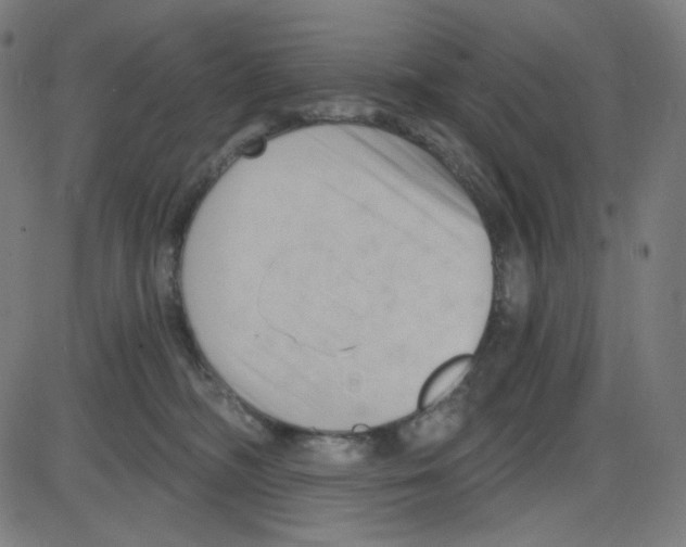 X0000084040326200703161838