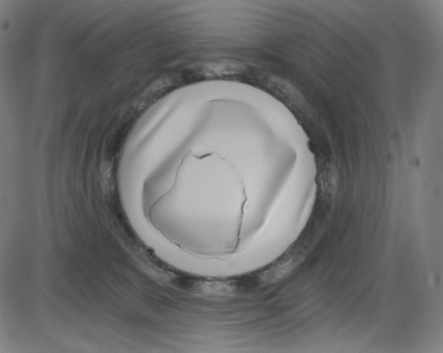 X0000084040327200703161838