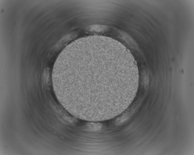 X0000084040328200703161838