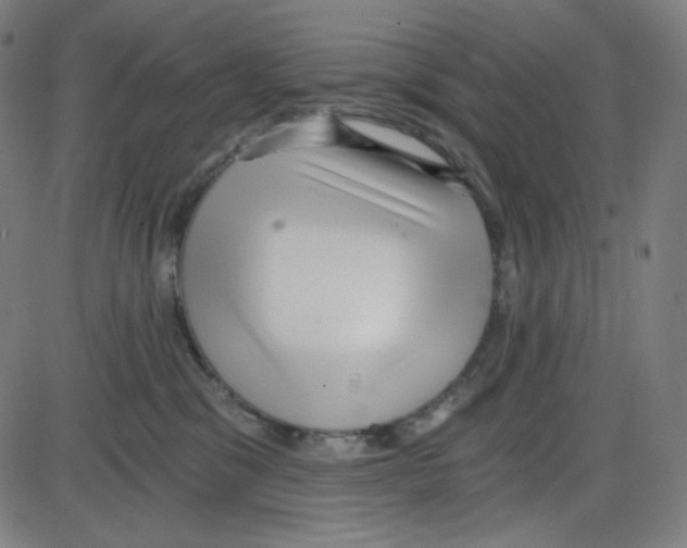 X0000084040329200703161838