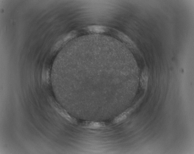 X0000084040330200703161838