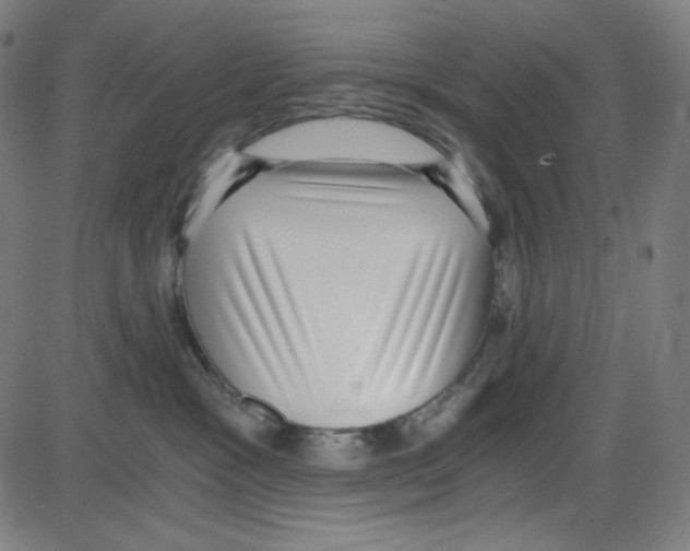 X0000084040333200703161838