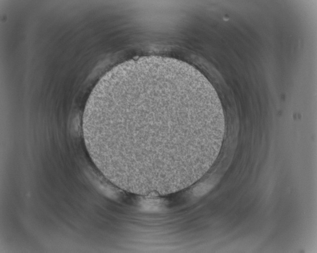 X0000084040336200703161837