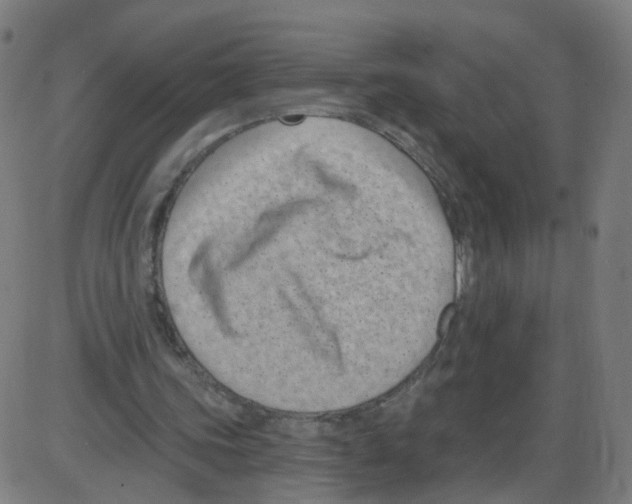 X0000084040339200703161837