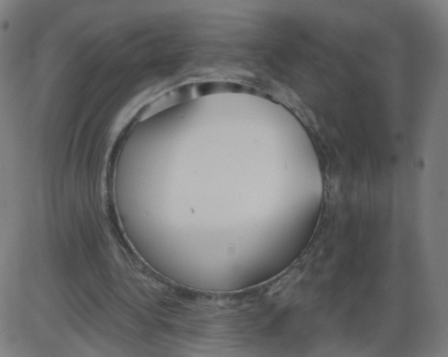 X0000084040340200703161837