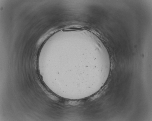 X0000084040341200703161837