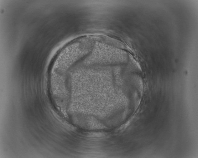 X0000084040342200703161837