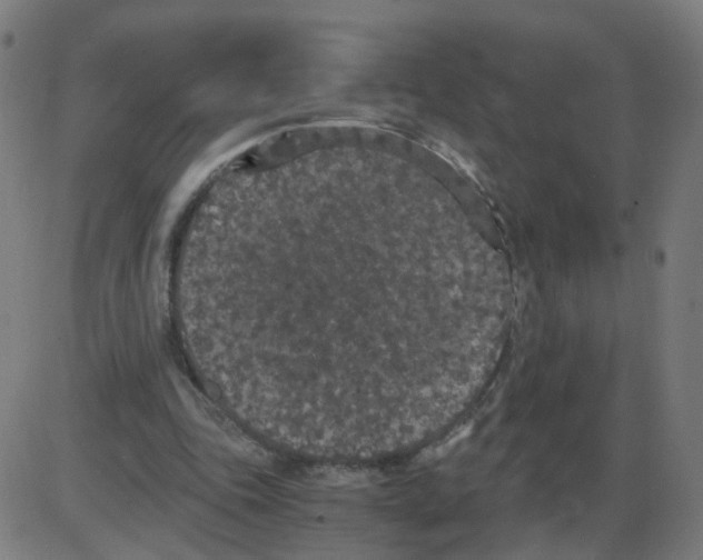 X0000084040343200703161837