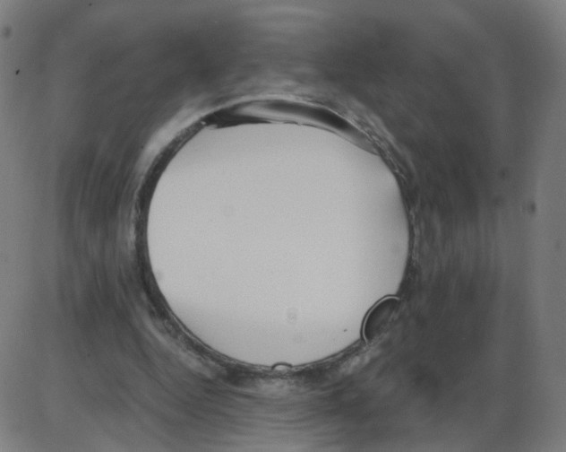 X0000084040344200703161837