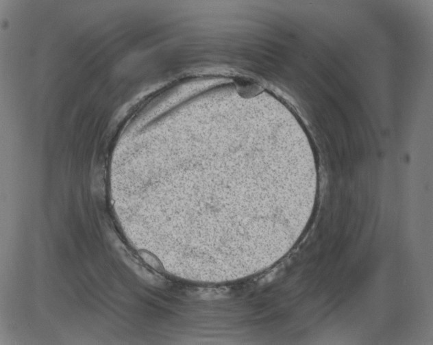 X0000084040345200703161837