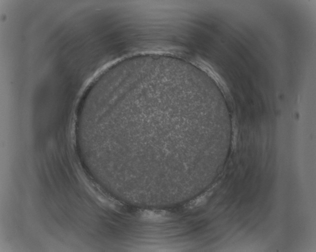 X0000084040346200703161837