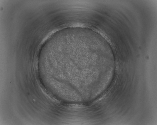 X0000084040347200703161837