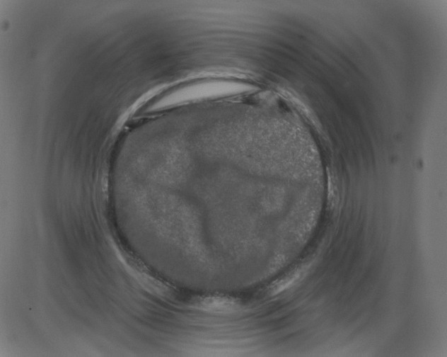 X0000084040348200703161837