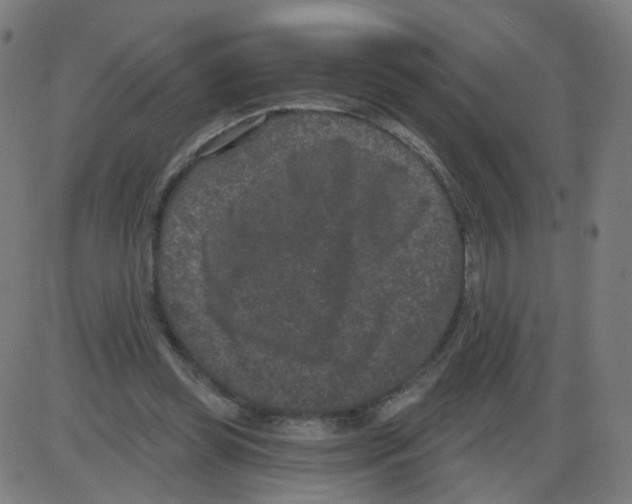 X0000084040349200703161837