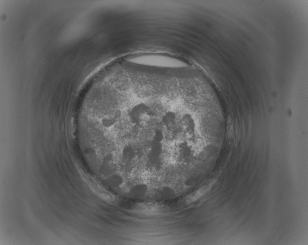 X0000084040351200703161837