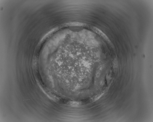 X0000084040352200703161837