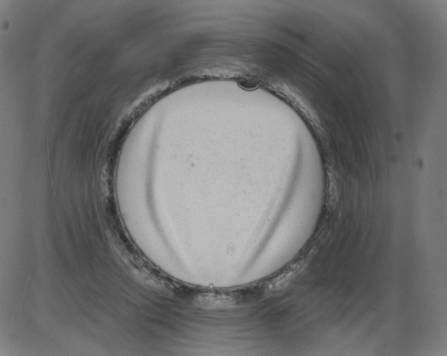 X0000084040354200703161837