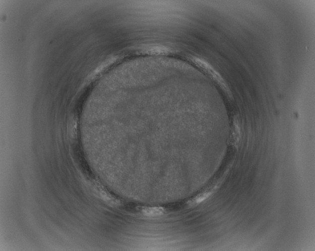 X0000084040355200703161837