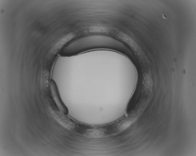 X0000084040356200703161837