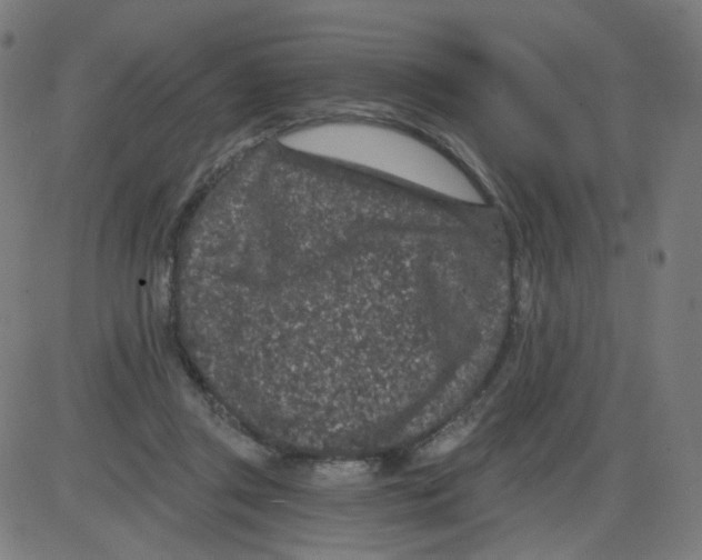 X0000084040357200703161837