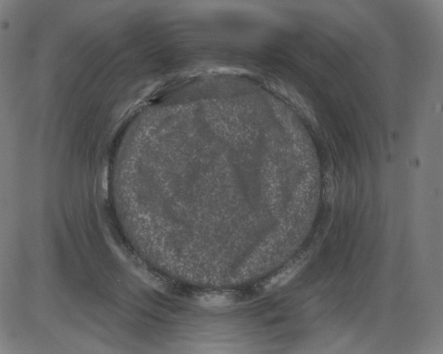 X0000084040358200703161837