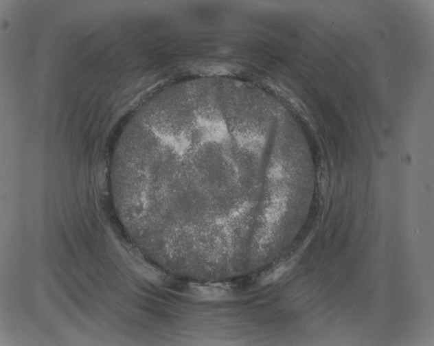 X0000084040359200703161837