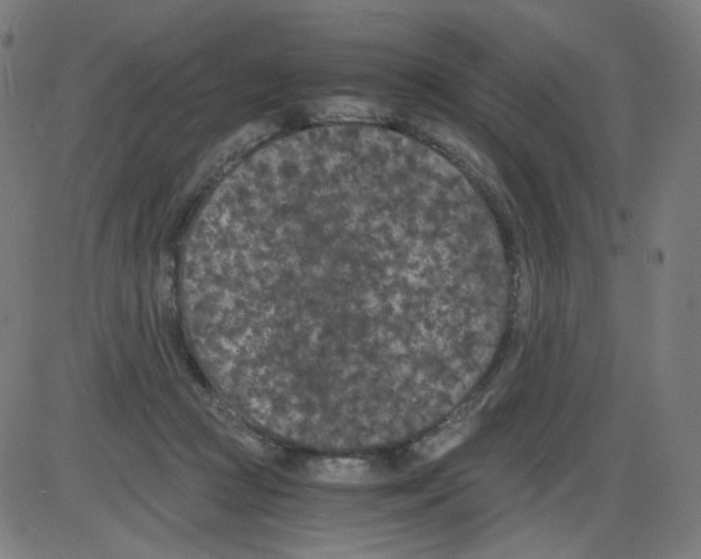 X0000084040361200703161837