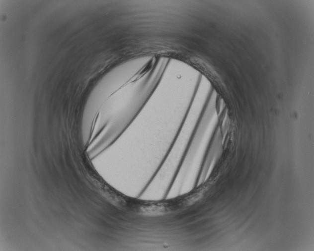 X0000084040362200703161837