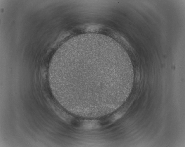 X0000084040363200703161837