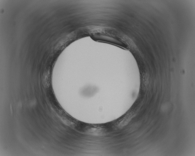 X0000084040364200703161837