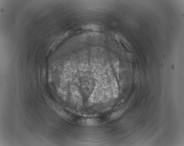 X0000084040365200703161837