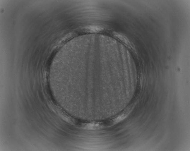 X0000084040366200703161837