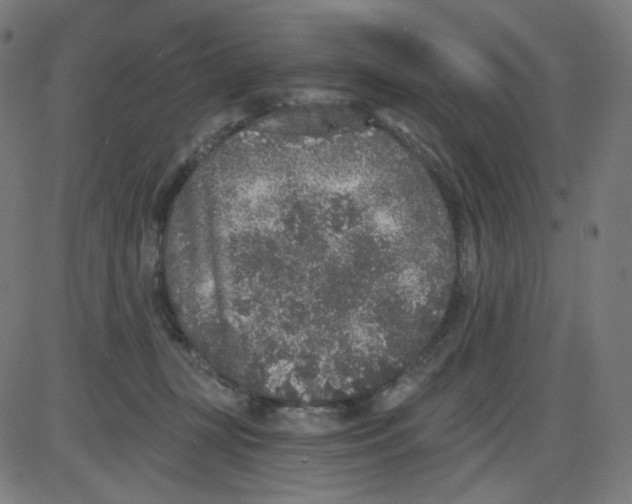 X0000084040367200703161837