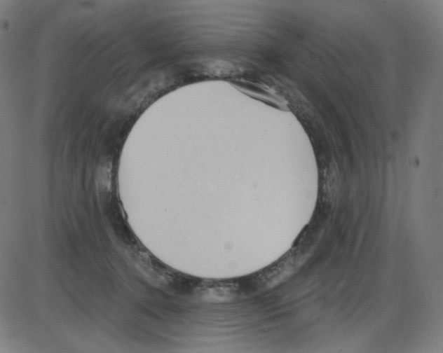 X0000084040368200703161837