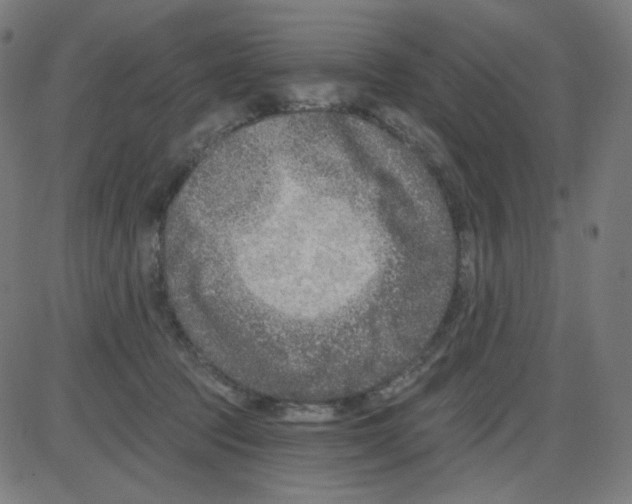 X0000084040369200703161837