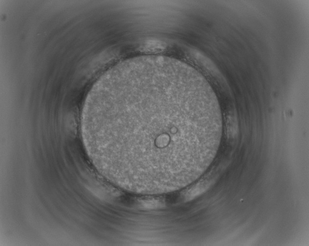 X0000084040370200703161837