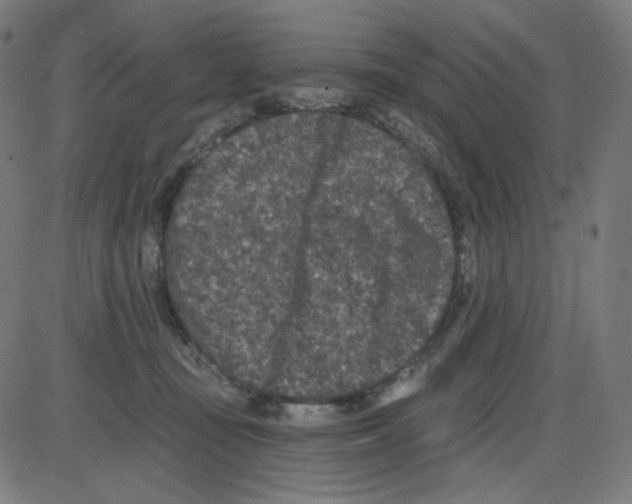 X0000084040371200703161837