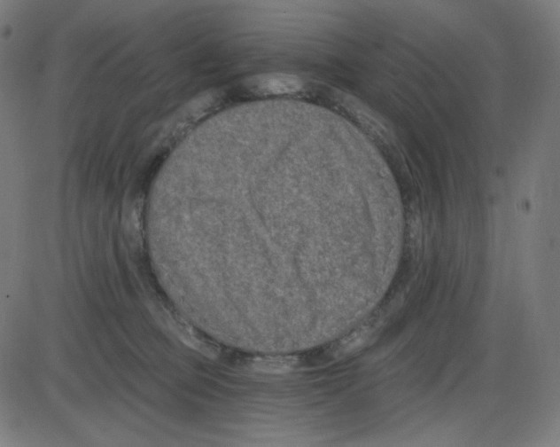 X0000084040373200703161837