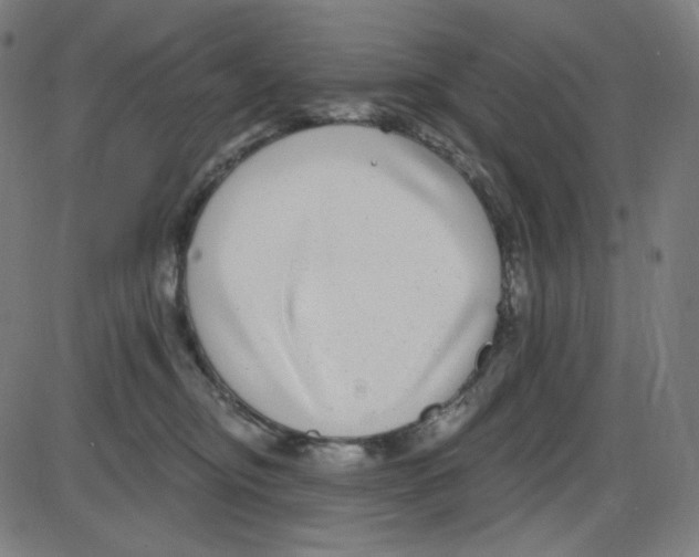 X0000084040374200703161837