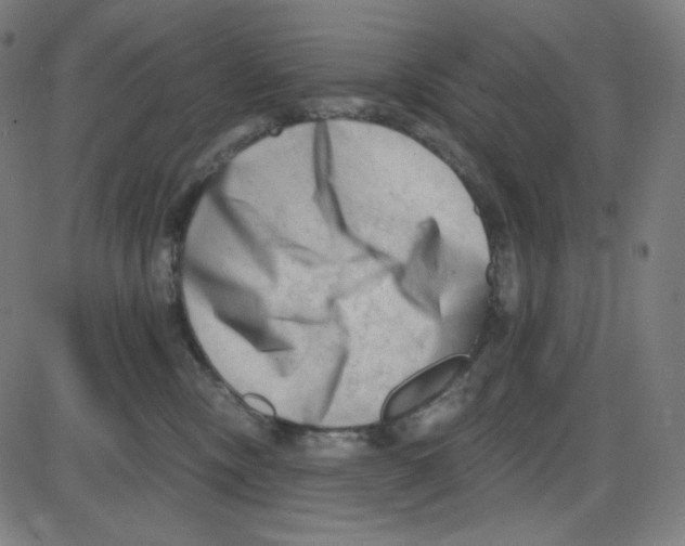 X0000084040378200703161837