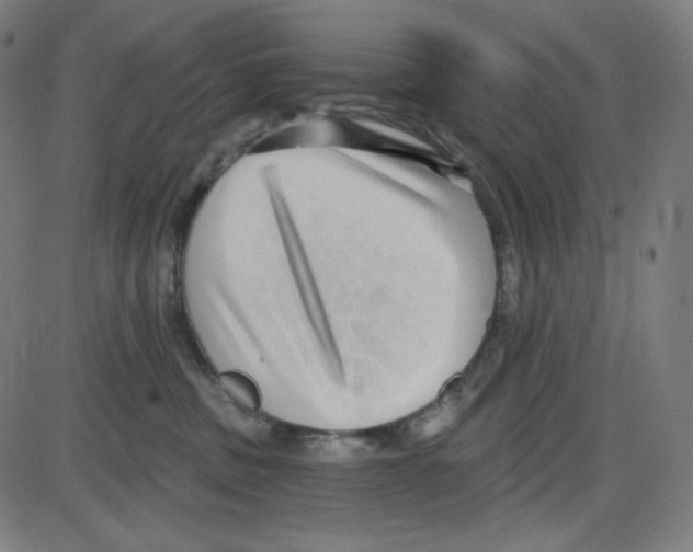 X0000084040379200703161837