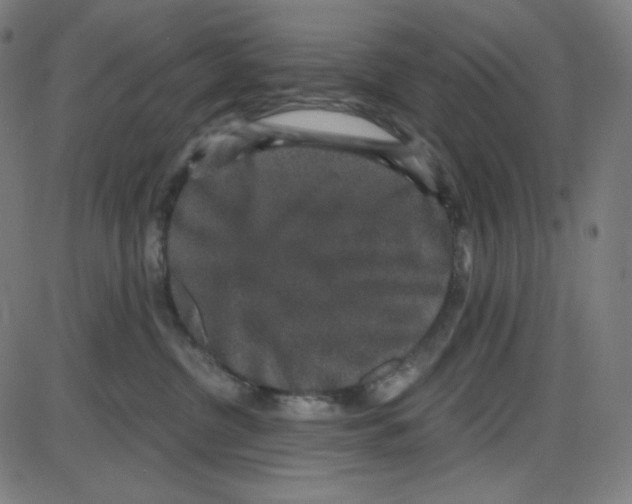 X0000084040380200703161837