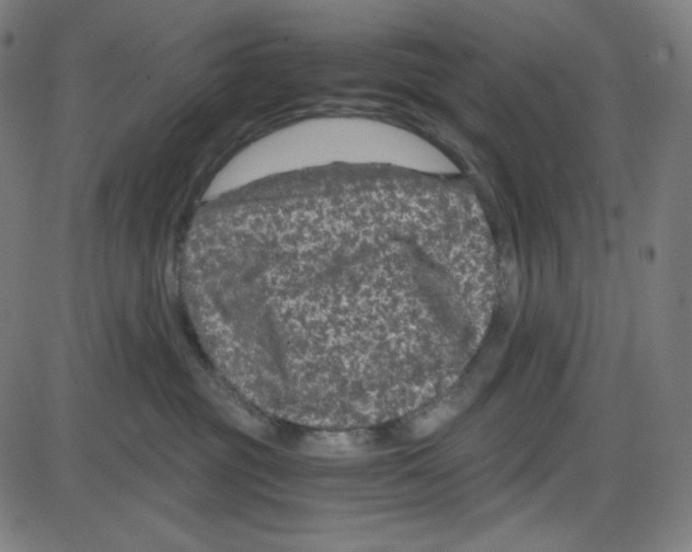 X0000084040381200703161837