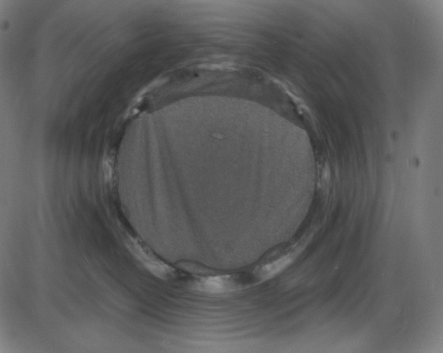 X0000084040382200703161837