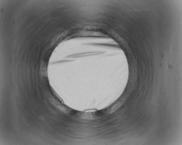 X0000084040384200703161837