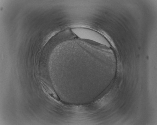 X0000084040385200703161837