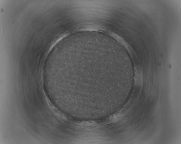 X0000084040386200703161837